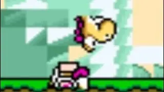 Unstable Yoshis + Test Level