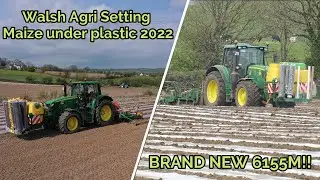 Walsh Agri Setting Maize under plastic with their TWO Samco Maize drills!!