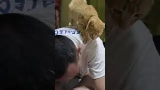Unahan makapatong 