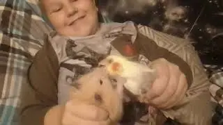 Дружба