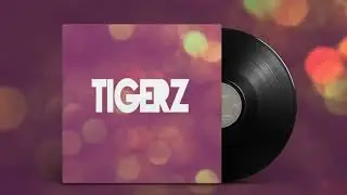 Tigerz - Loose You