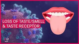 Did Loss of Taste & Smell Affect the Taste Receptor Expression: Testing The Theory 🤔