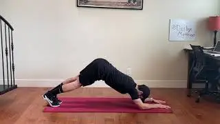 Dolphin Plank