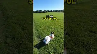 #viral #motivation #viralvideo #change #short #shortvideo #shortsfeed #shortsviral  #shortsvideo