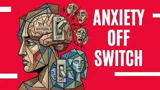Scientists Reverse Anxiety by Rebalancing Brain Neurons &ndash; The Hidden Switch We Never Knew