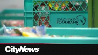 Demand soars, donations slow: Edmonton&rsquo;s food bank fundraising goals not yet met