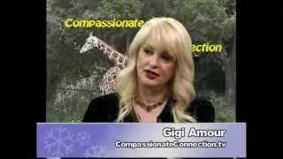 Compassionate Connection.