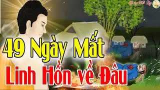 Tại Sao Từ Lúc MỚI MẤT TRONG VÒNG 49 NGÀY Linh Hồn Thường Về Báo Mộng _Lời vàng Phật Dạy