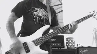 Mayhem - Freezing Moon (bass cover)