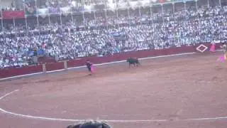 P1050445