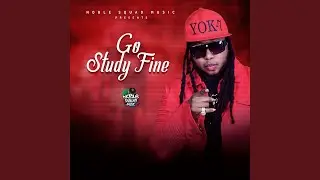 Go Study Fine