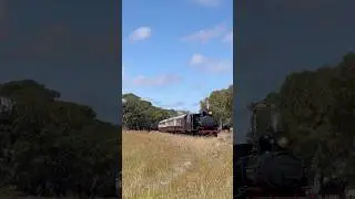 Former South Australian Railways locomotive T251 arriving at Drysdale station!  #railway