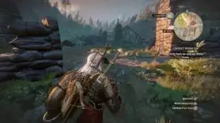 Witcher contract: Missing Son