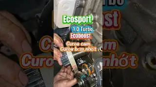 Bảo dưỡng #Ecosport 1.0 #Ecoboost. Thay curoa cam, curoa bơm nhớt định kỳ.