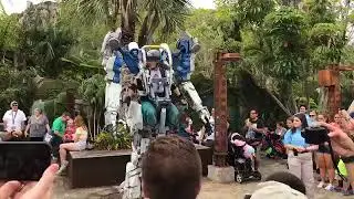 Live Video - Pandora Utility Suit at Disney s Animal Kingdom
