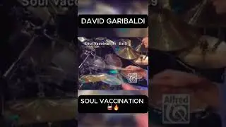 David Garibaldi demonstrating his legendary groove on 
