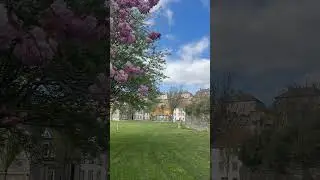 This park view - Culross Fife #travel #trending #video #scotland #viral