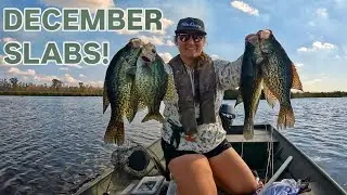 December Louisiana Crappie Catch and Cook (Cajun Style)