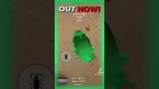 #TruePound #Fly #new #music #available #now ￼￼