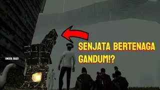 Menanam Padi di tempat Paradox | Wheat Harvest Paradox
