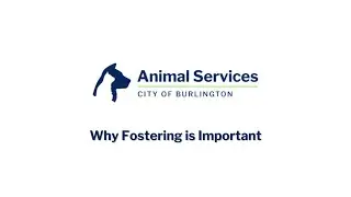 Why Fostering is Important