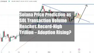 Solana Price Prediction as SOL Transaction Volume Reaches Record-High