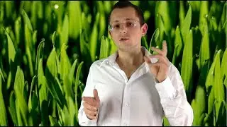 DAS GES&Uuml;NDESTE LEBENSMITTEL + WACHMACHER - Weizengras