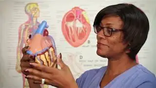 HEALTH UNIT COORDINATOR  / MONITOR TECH PROGRAM