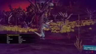 PolyNerdic Play Test: No Man's Sky Second Look