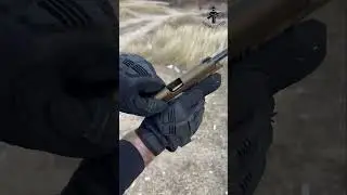 Browning 1911 22lr black label #asmr #targetshooting #22lr