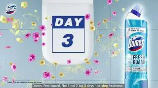 Domex Calendar English