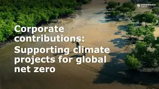ClimatePartner Impact Deep Dive: Corporate contributions
