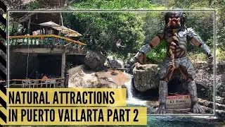 Top 5 Natural Attractions at Puerto Vallarta
