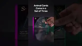 Animal Cards of the Spheres of Life: Mythical Forest | New Fantasy Card Game for 2-7 Players