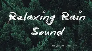Heavy Rain in India | Relaxing Rain Sounds | Peaceful Nature Video 4K