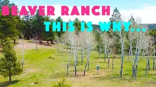 Beaver Ranch Disc Golf Course, 13th in the world and climbing!