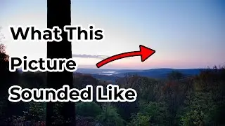Sound Pictures #2: Enchanted Dawn | Hammersley Wild Area, PA
