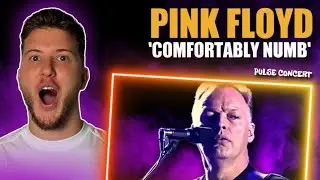 Guitarist Reacts To 'COMFORTABLY NUMB' By Pink Floyd | BEST SOLO EVER?