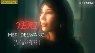 Teri Meri Deewangi –| Slowed + Reverb | Heart Touching Hindi Love Song 2026”