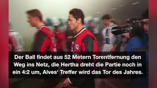 gonetoosoon - alves