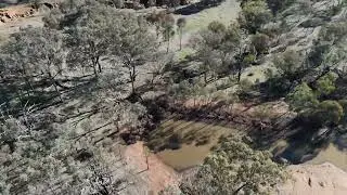 Farm 2025 06 26