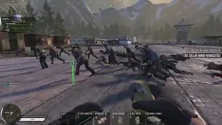 New Z Bug?