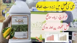 CLICK Herbicide | Powerful Pre-Emergence Weed Control for Maize & Sugarcane | Kanzo AG – Evyol Group