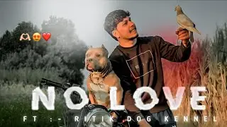 No Love 😍 | Ritik dog kennel Video Editing | Rock & Ritik | #ritikdogkennel #nolove #rock #doglove 