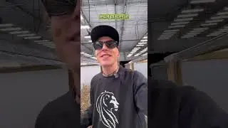 Что на самом деле скрывается за концепцией &laquo;белой этикетки&raquo; в семенной индустрии? 🌱