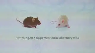The Boundaries of the Possible: Tod Machover and Kevin Esvelt Presentations