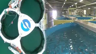 Most Advanced Smart Fish Farming Systems That Are At Another Level