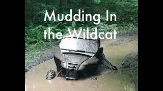 Lets find some mud!! Wildcat Sport