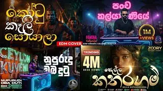 මේ දවස්වල ජනප්&zwj;රියම EDM සින්දු🎶 එකතුව 2026 | Edm Songs Collection
