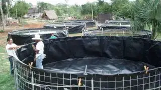 tanques de geomembrana de polietileno TANGEOMEX PARA TILAPIA